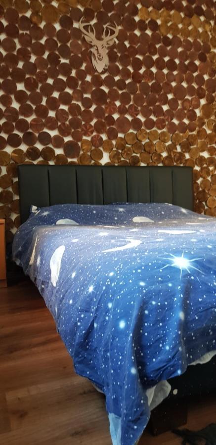 Apartment Straja Lupény Kültér fotó